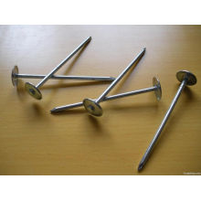 supply E. G. umbrella head roofing nail with washer from tianjin China for sale